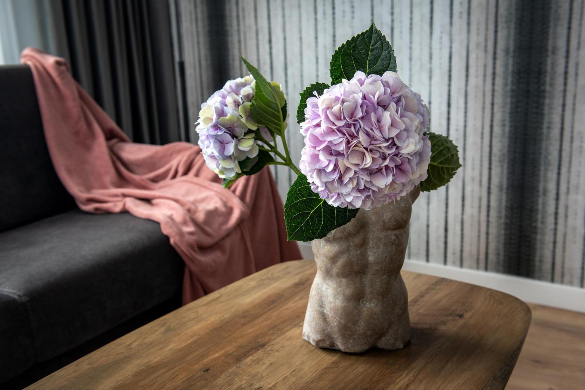 Inpoint Spacious Apartments Near Main Square & Kazimierz District Krakkó Szoba fotó